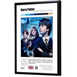 Harry Potter "Philosopers Stone" album print