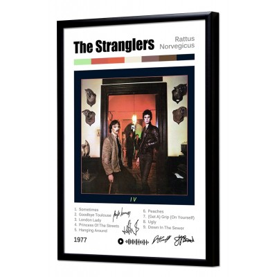 The Stranglers "Rattus Norvegicus" album print The Stranglers "Rattus Norvegicus" album print