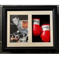 George Foreman Miniature Framed Boxing Gloves