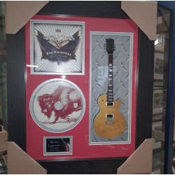 Foo Fighters In Your Honour Miniature 10" Guitar & CD/Sleeve Framed Presentation