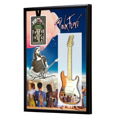 Pink Floyd Guitar & Backstage Pass Display