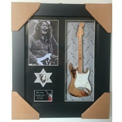 Rory Gallagher Framed Guitar & Plectrum Presentation