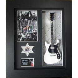 Ramones Framed Guitar & Plectrum Presentation