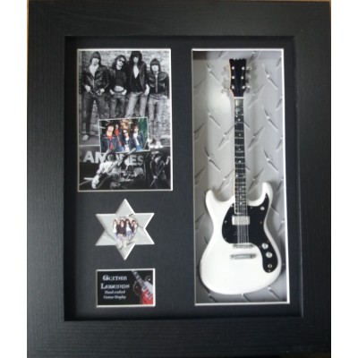 Ramones Framed Guitar & Plectrum Presentation