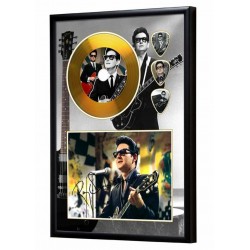 Roy Orbison Gold Look CD & Plectrum Display