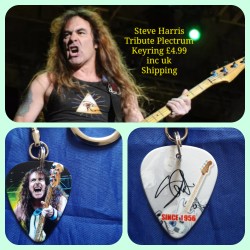 Iron Maiden Steve Harris Double Sided Tribute Plectrum Keyring