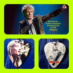 Rod Stewart Double Sided Tribute Plectrum Keyring