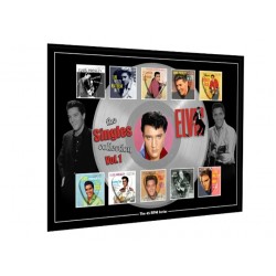 Elvis Vol 1 Plectrum 45rpm tribute Set Display