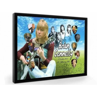 The Sweet Brian Connolly Tribute Plectrum Display