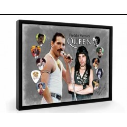 Freddie Mercury Queen Tribute Plectrum Display